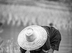 Woman working on a rice field_edited.jpg